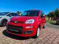 Fiat Panda Mild Hybrid 1.0 5-Sitzer Rot - thumbnail 1
