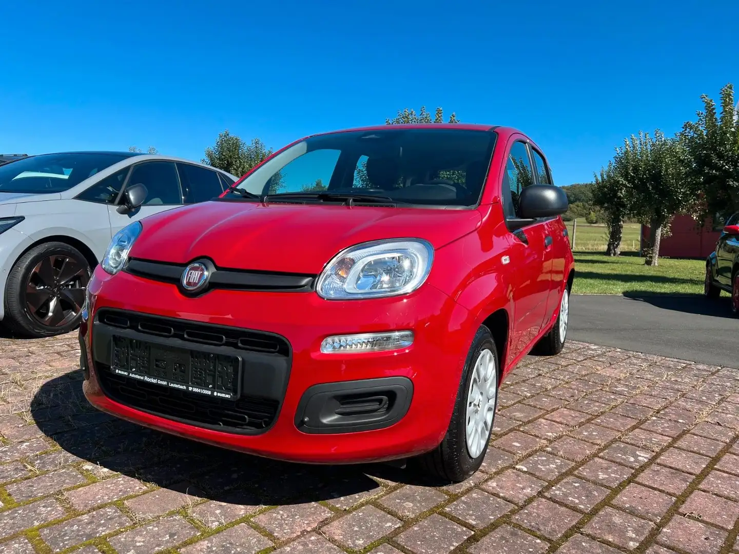Fiat Panda Mild Hybrid 1.0 5-Sitzer Rot - 1
