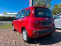 Fiat Panda Mild Hybrid 1.0 5-Sitzer Rot - thumbnail 4