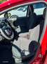 Fiat Panda Mild Hybrid 1.0 5-Sitzer Rot - thumbnail 5