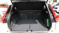 Volvo XC40 2.0 B3 CORE AUTO 5P - thumbnail 12