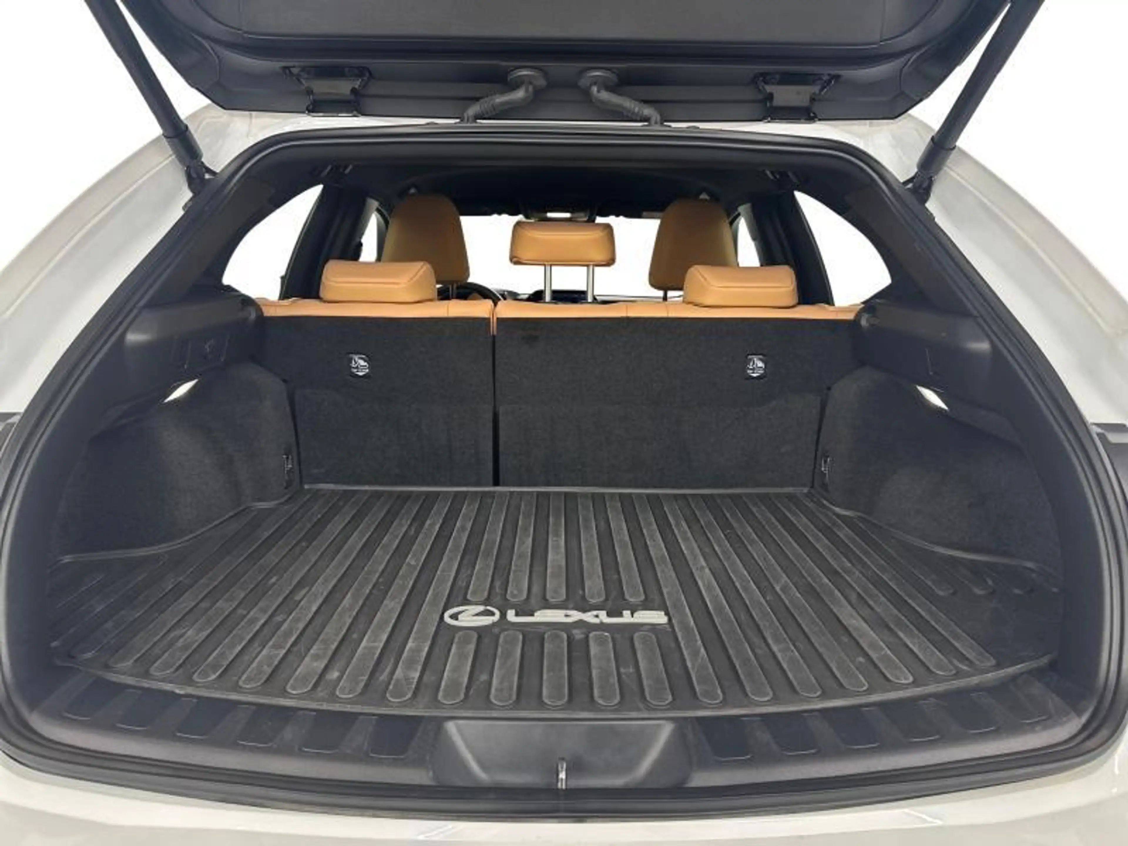 Lexus UX 250h F SPORT Design — photo 11