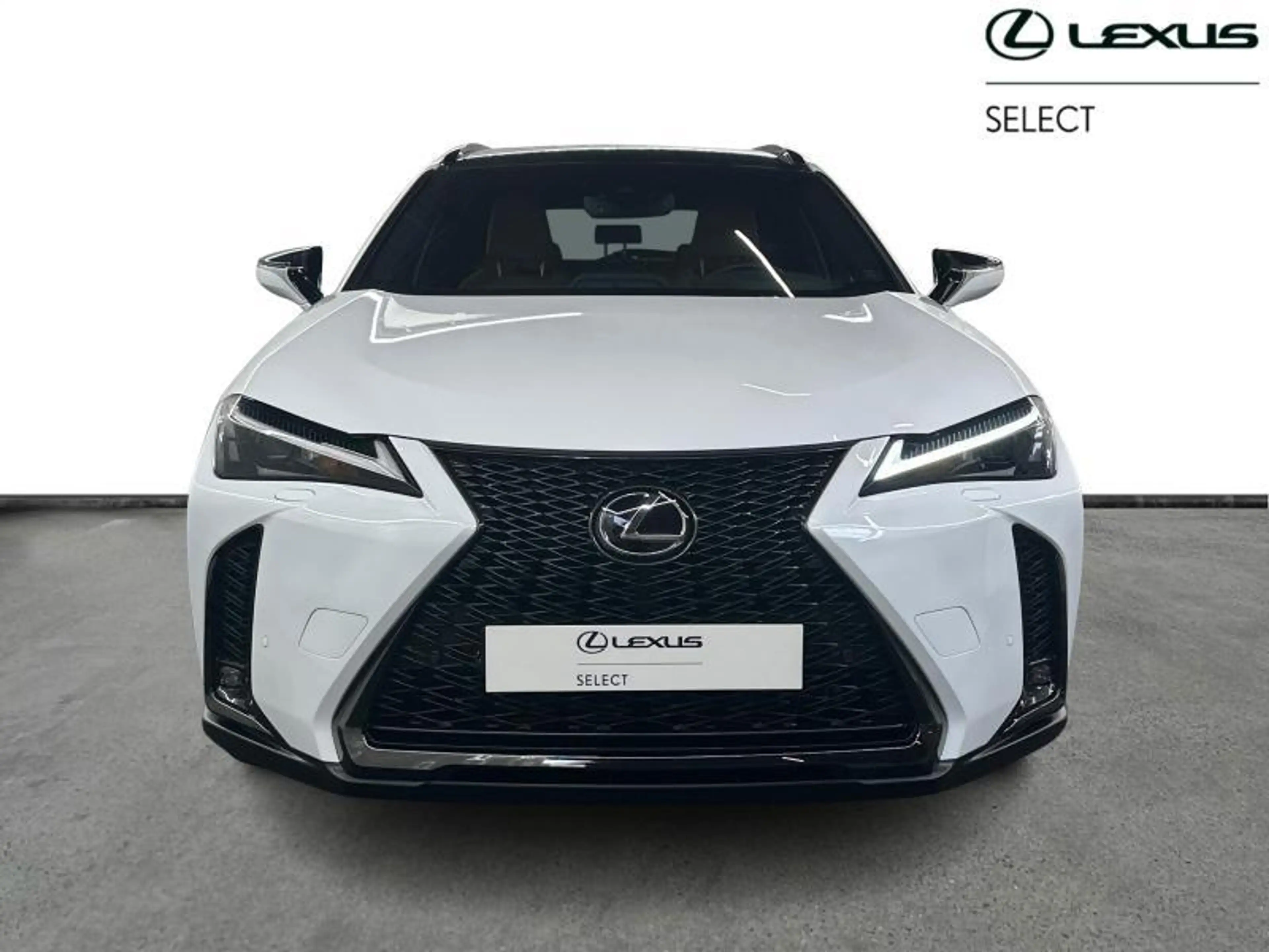 Lexus UX 250h F SPORT Design — photo 7