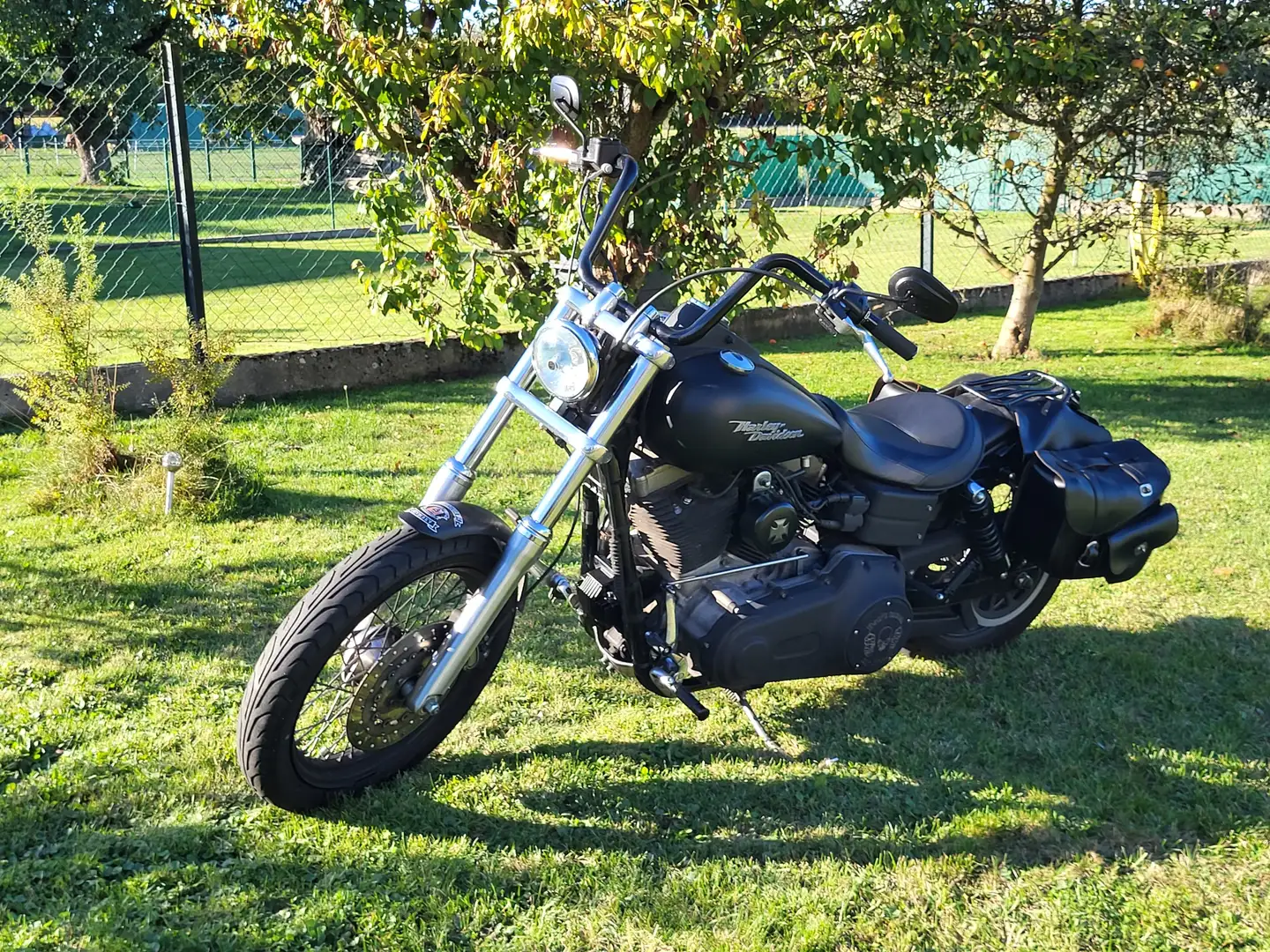 Harley-Davidson Dyna Street Bob Negru - 1