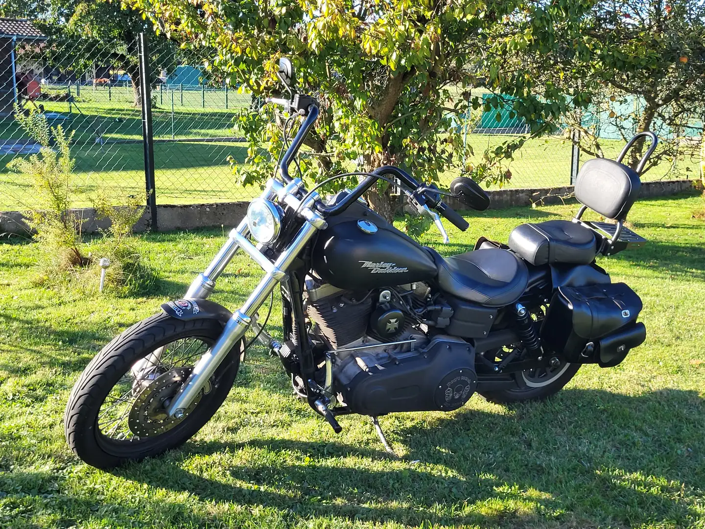 Harley-Davidson Dyna Street Bob Negru - 2