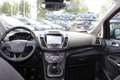 Ford C-Max 1.0 EcoBoost 125 PK Titanium | Electrische achterk Gris - thumbnail 10