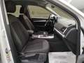 Audi Q5 Sportback 40 12V Business quattro s-tronic Bianco - thumbnail 15