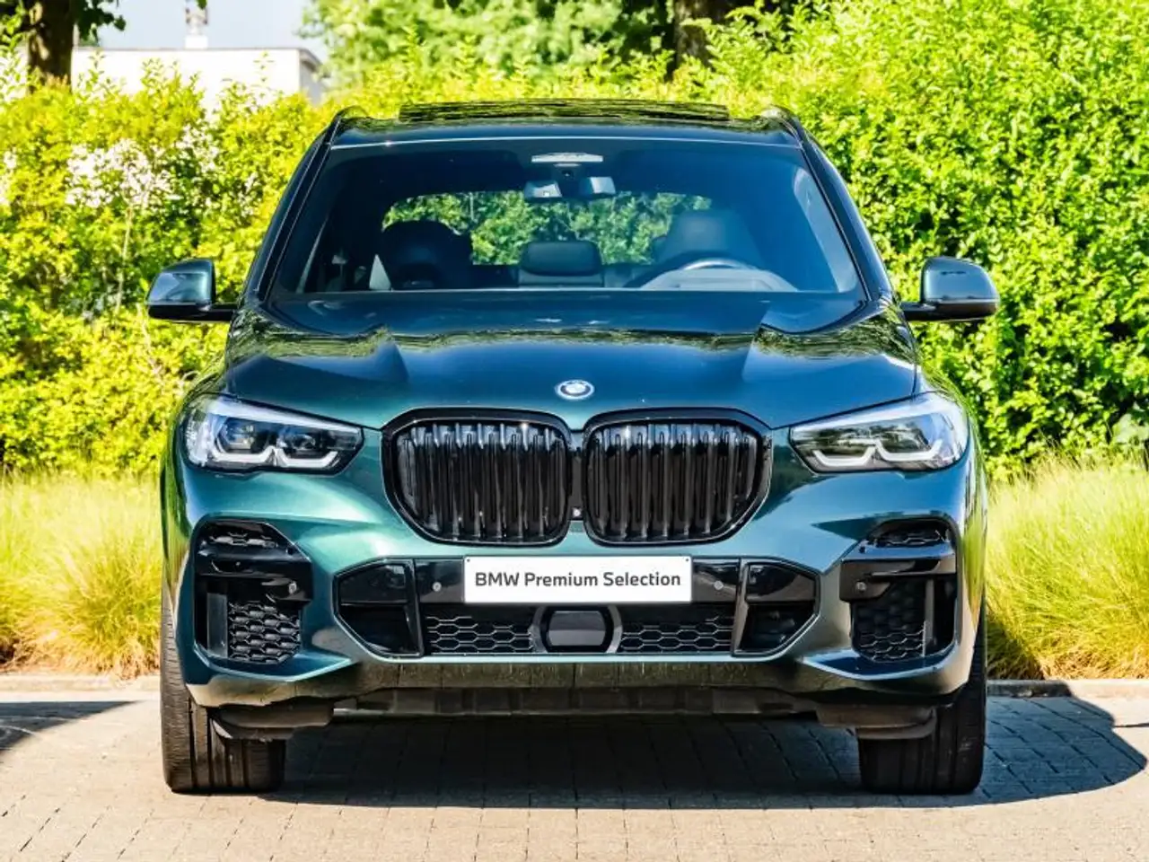 BMW X5 xDrive45e / Oxford Green Special Request, миниатюра 2