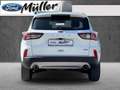 Ford Kuga Plug-In Hybrid 2.5 PHEV Titanium Blanc - thumbnail 5