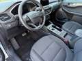 Ford Kuga Plug-In Hybrid 2.5 PHEV Titanium Blanc - thumbnail 7