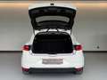Renault Megane 1.5dCi Blue Business 85kW Blanc - thumbnail 7