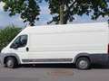 Fiat Ducato Ducato L1H1 250.4K2.0 Weiß - thumbnail 2