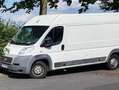 Fiat Ducato Ducato L1H1 250.4K2.0 Weiß - thumbnail 1