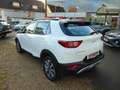 Kia Stonic Vision Weiß - thumbnail 4