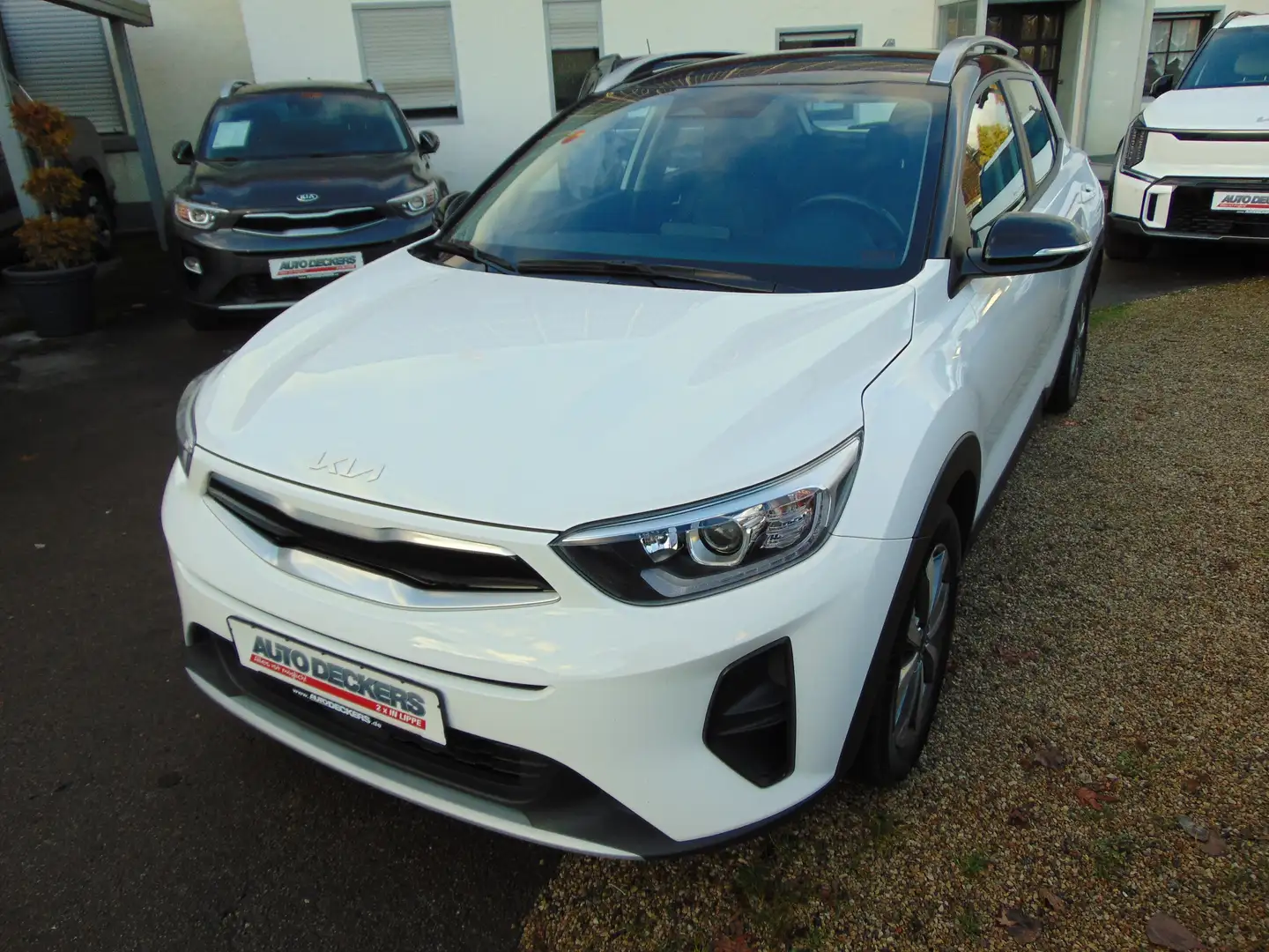 Kia Stonic Vision Blanc - 1