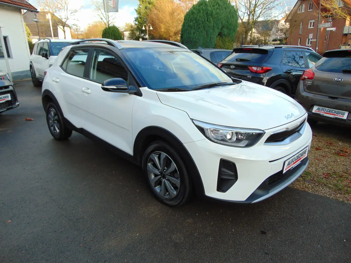 Kia Stonic Vision Blanc - 2
