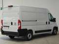 Fiat Ducato 33 2.3 MJT 140CV PM-TM L2H2 Furgone Bianco - thumbnail 7