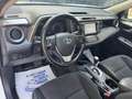 Toyota RAV 4 RAV4 2.5 Hybrid 2WD Active Bianco - thumbnail 8