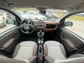 Fiat Panda 1.3 MJT cross 4x4 4WD TRAZIONE INTEGRALE OK NEO Verde - thumbnail 10