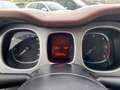 Fiat Panda 1.3 MJT cross 4x4 4WD TRAZIONE INTEGRALE OK NEO Verde - thumbnail 15