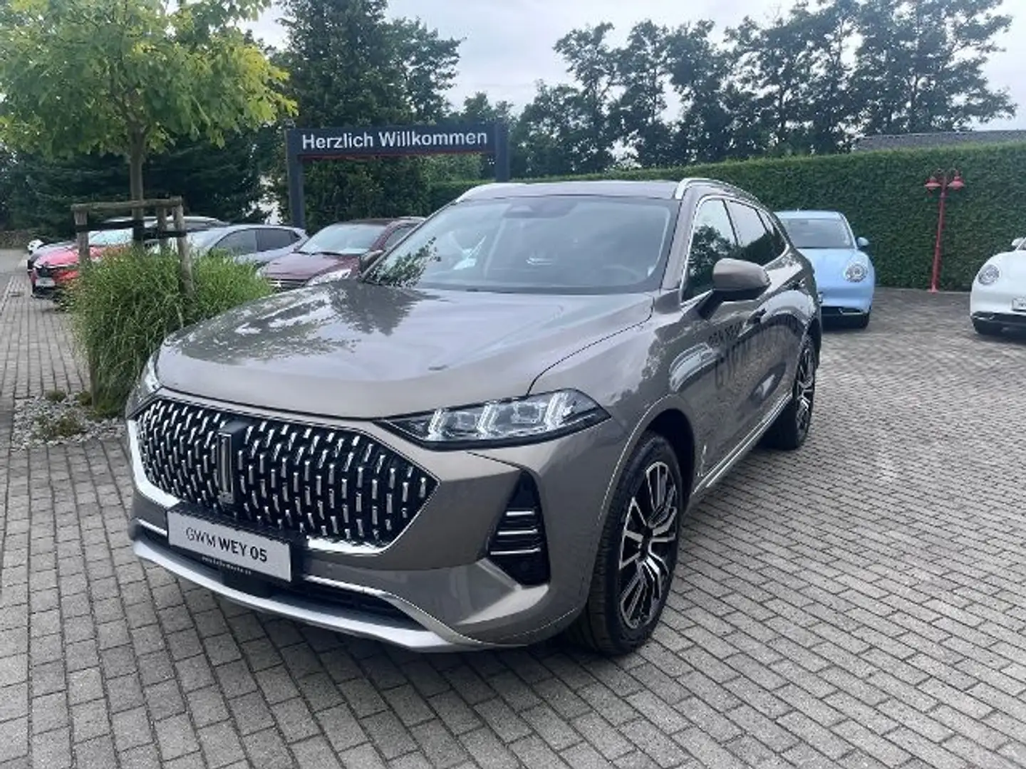 GWM WEY 05 WEY 05 Premium 5 Jahre Garantie Grau - 1
