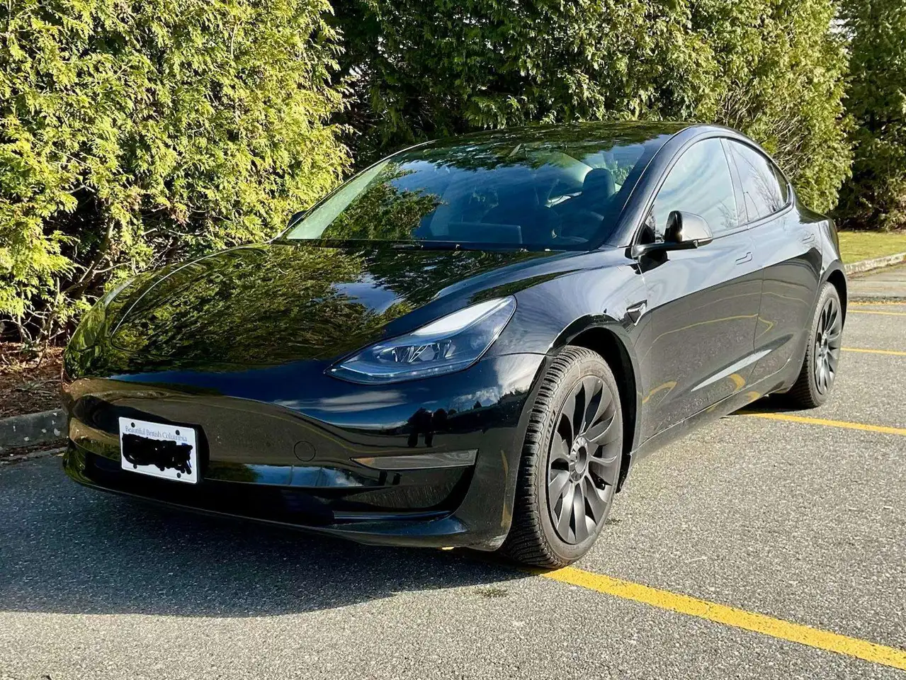2023 Tesla Model 3