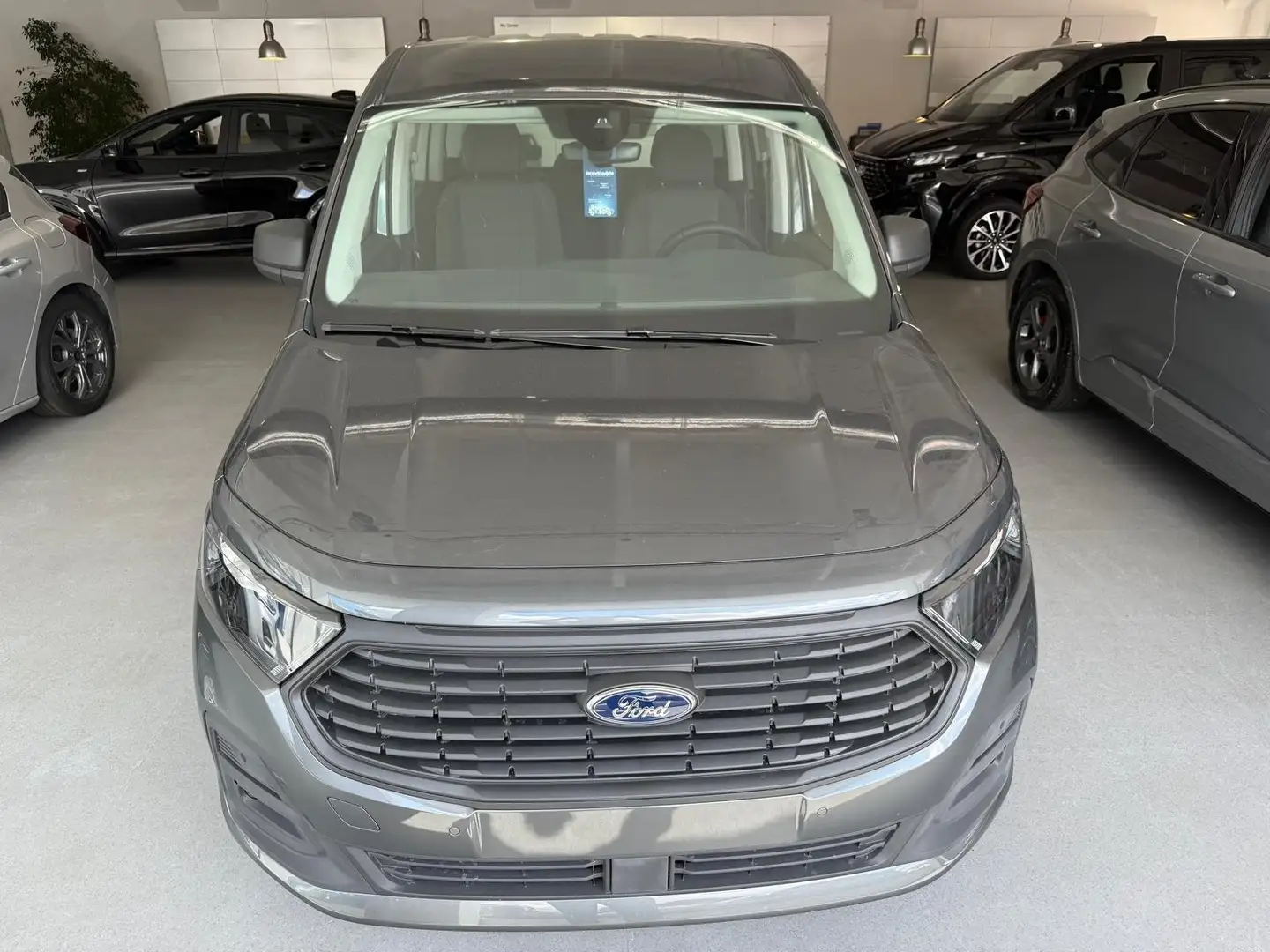 Ford Tourneo Connect Plus 2.0 ecoblue 102 CV Grigio - 2