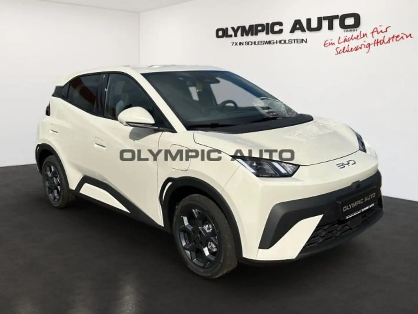 BYD Dolphin Dolphin Surf Comfort 43kWh 360°KAMERA LED SITZHZ Weiß - 2