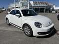 Volkswagen Beetle 1,2 TSI Weiß - thumbnail 3
