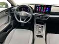 SEAT Leon Road Edition 1.5 eTSI Kamera/Assist/EPH/uvm Grau - thumbnail 10