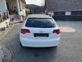 Audi A3 A3 SB 1,9 TDI e Limited Edition DPF Limited Editio Weiß - thumbnail 6