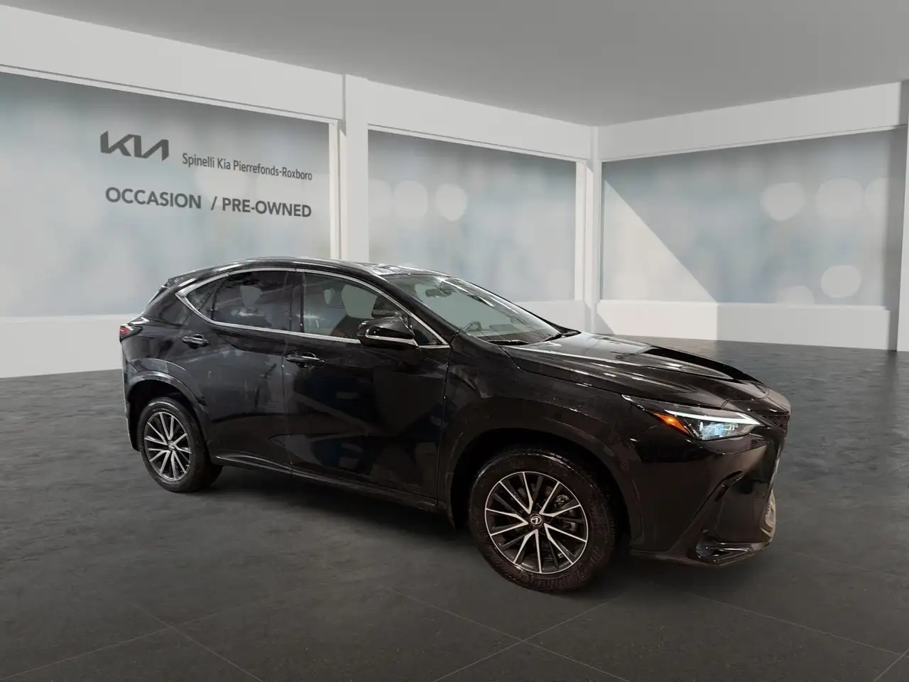Lexus NX снимка Lexus NX