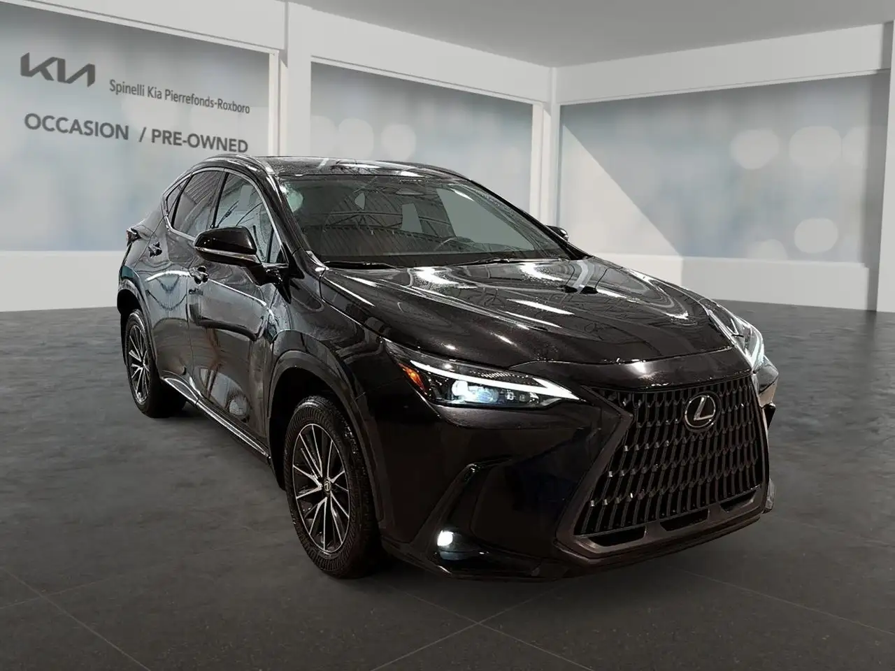 Lexus NX снимка Lexus NX