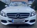 Mercedes-Benz C 220 C 220 T BlueTEC Aut. Weiß - thumbnail 33