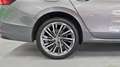 Skoda Superb Lim. 2.0 TDI / L&K  - 4x4 / Standheizung Grau - thumbnail 14