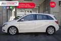 Mercedes-Benz B 200 B 200 CDI Executive Unicoproprietario Білий - thumbnail 4