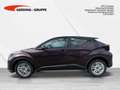 Toyota C-HR Hybrid Business Edition+NAVI+PDC v+h Violett - thumbnail 6