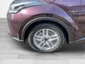 Toyota C-HR Hybrid Business Edition+NAVI+PDC v+h Violett - thumbnail 20