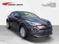 Toyota C-HR Hybrid Business Edition+NAVI+PDC v+h Violett - thumbnail 4