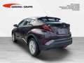 Toyota C-HR Hybrid Business Edition+NAVI+PDC v+h Violett - thumbnail 2