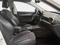 CUPRA Formentor 1.5 TSI 150 DSG Blanco - thumbnail 13