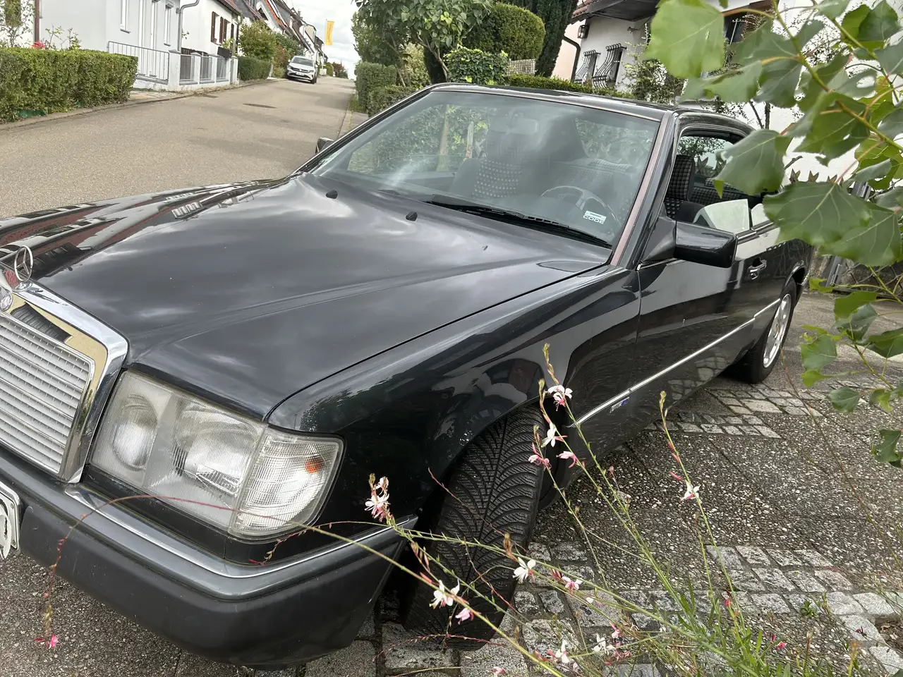 Mercedes-Benz CE 230 Sonderserie Sportline mit Sonderausstattungen, foto 5