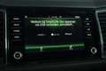 Skoda Kodiaq 1.5 TSI Business Edition Trekhaak | Pano | Virtual Grijs - thumbnail 19