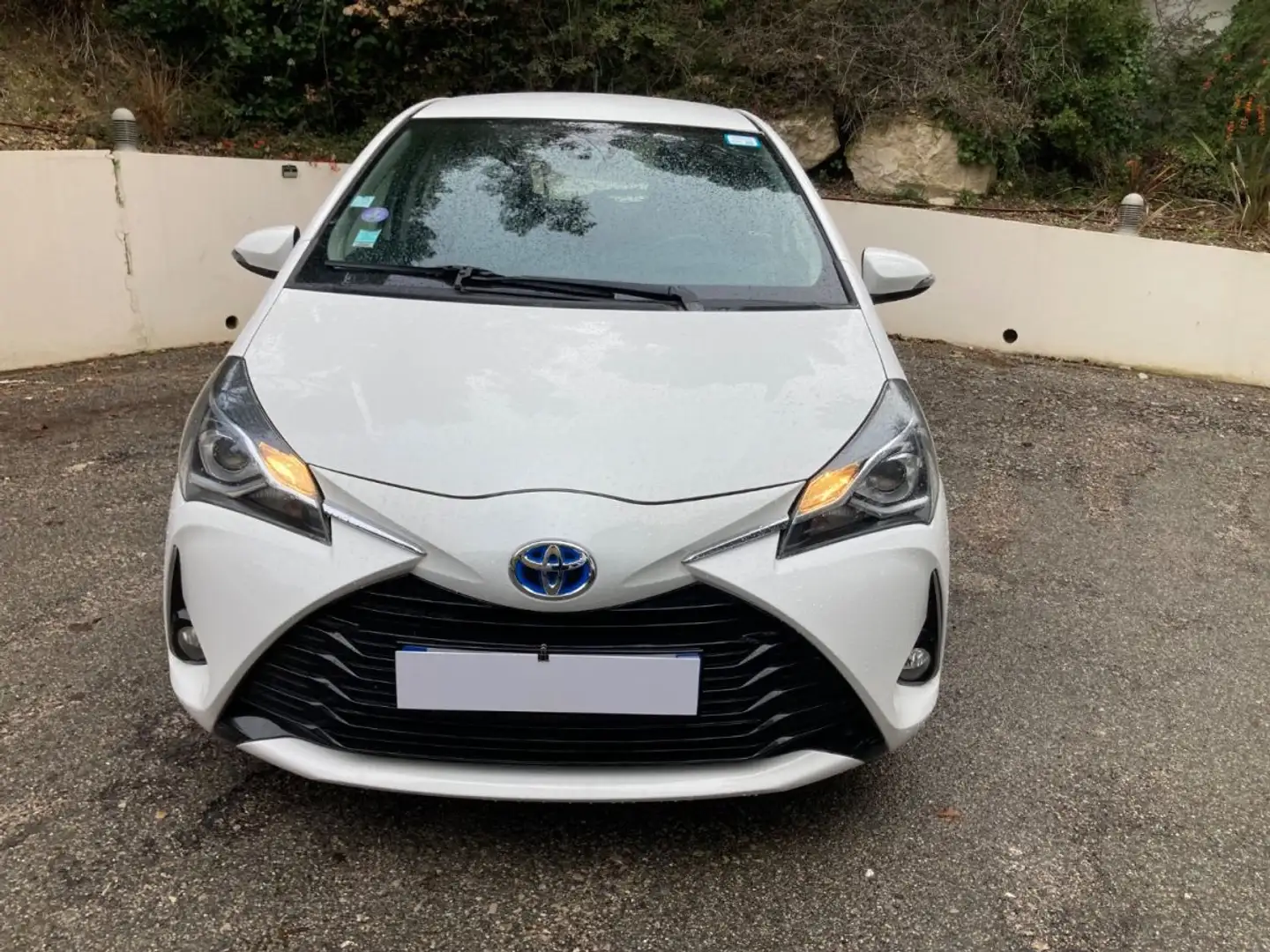 Toyota Yaris 100h France Business 5p RC19 - 1