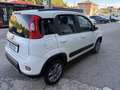 Fiat Panda 0.9 TwinAir Turbo S&S 4x4 LOUNGE bluetooth etc Wit - thumbnail 4