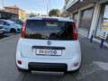 Fiat Panda 0.9 TwinAir Turbo S&S 4x4 LOUNGE bluetooth etc Wit - thumbnail 8