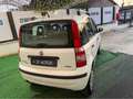 Fiat Panda 1.3 mjt 16v 4x4 Weiß - thumbnail 7