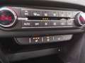 Kia ProCeed / pro_cee'd ProCeed GT-line 1.5 | LED | NAVI | LED | PANO Blau - thumbnail 12