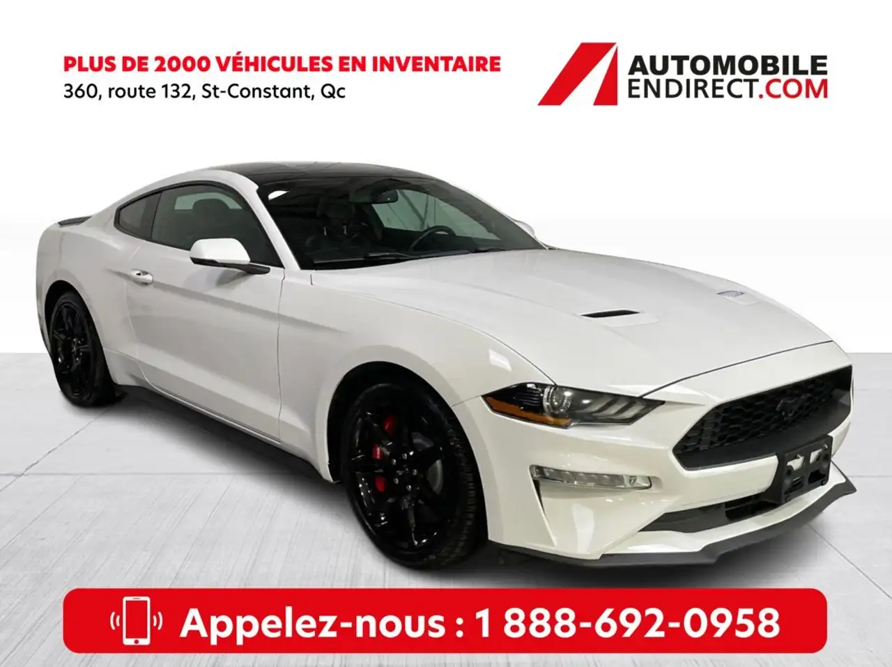 2019 Ford Mustang