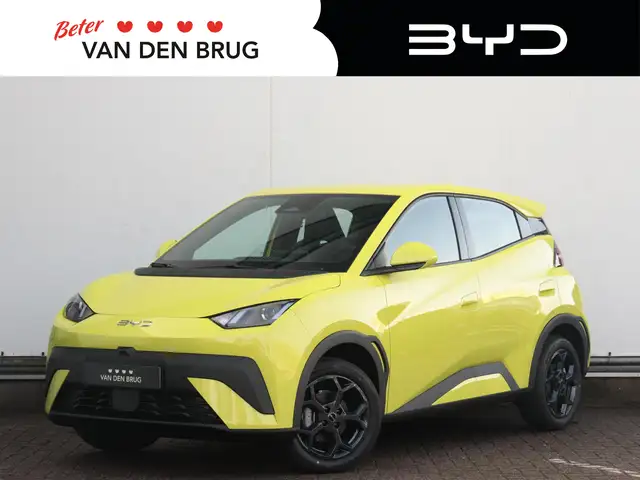BYD Dolphin Surf